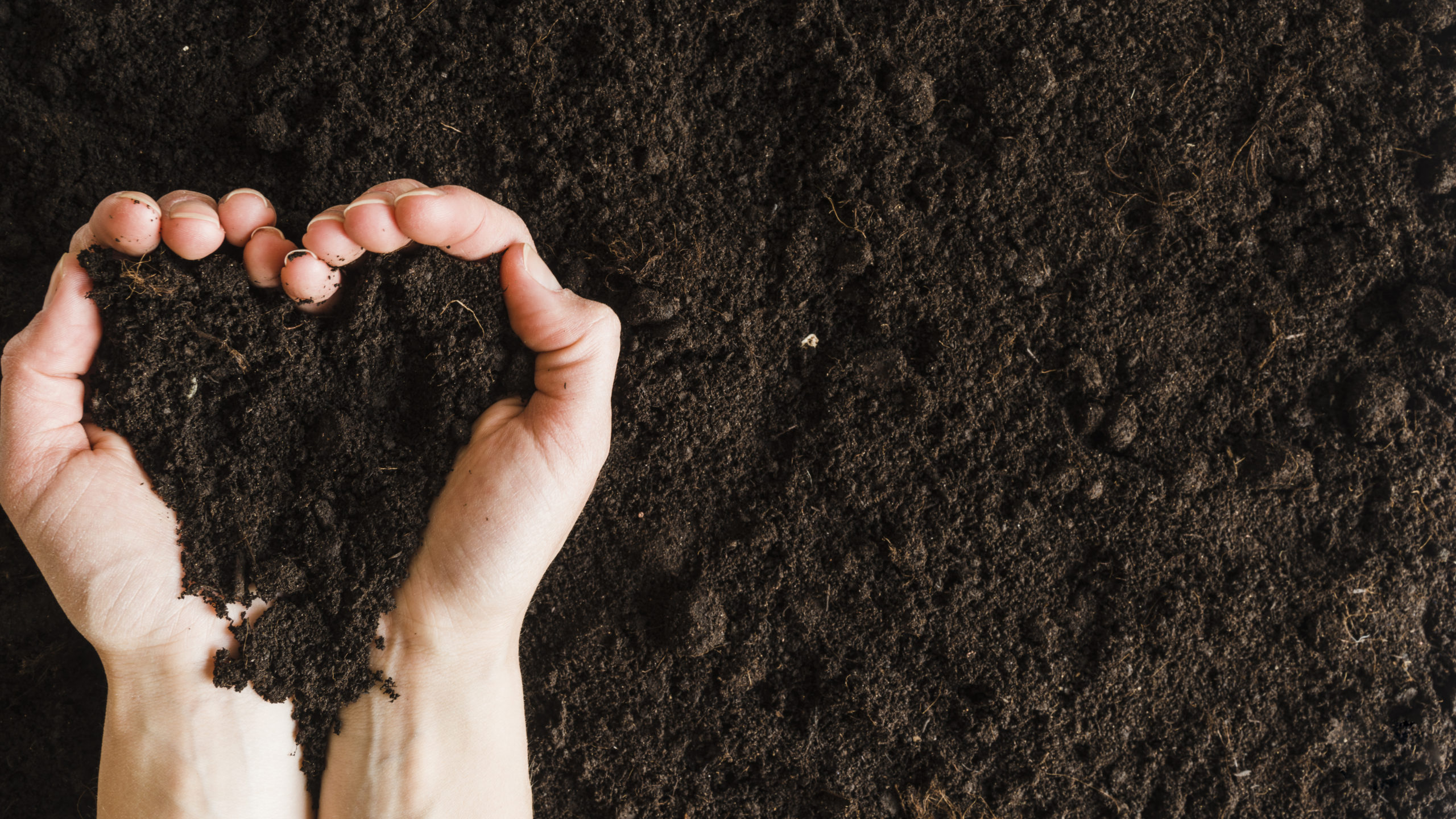 Compostagem Eficiente: Otimizando Sua Pilha de Esterco de Coelho