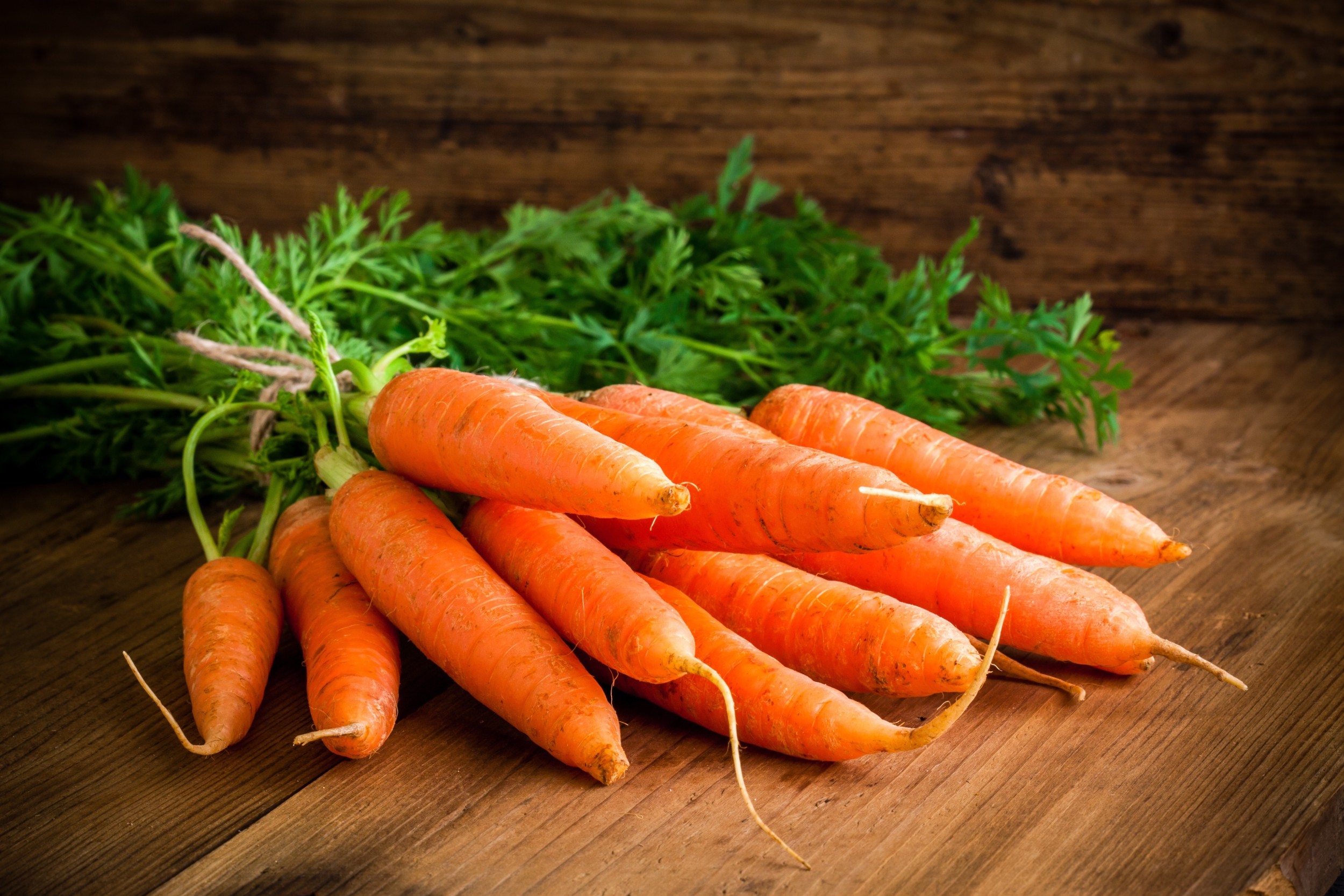 Da Semente à Raiz: Como Cultivar Mudar de Cenoura com Sucesso
