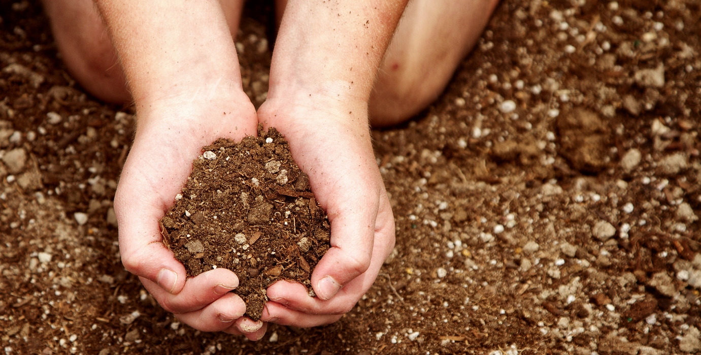 Compostagem Eficiente com Esterco de Coelho: Do Composto à Colheita