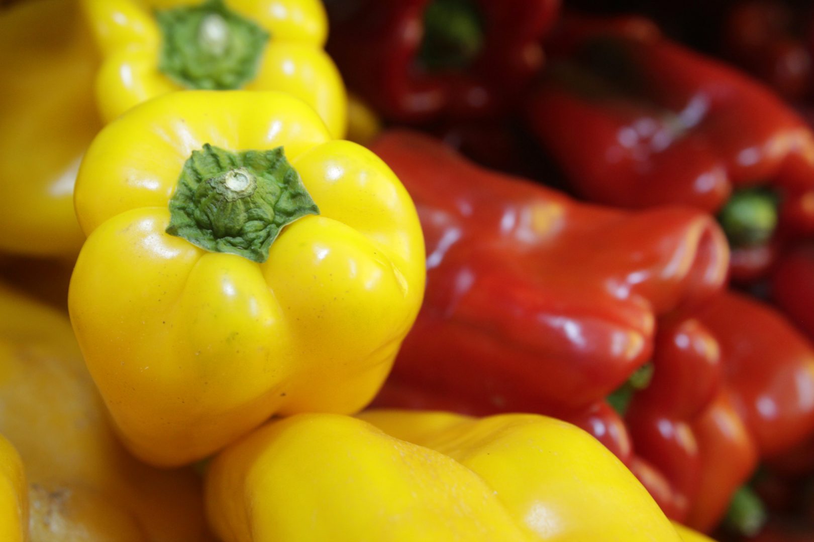 Cultivo de Pimentão: Dicas Essenciais para uma Colheita Abundante 🌶️🌱😊