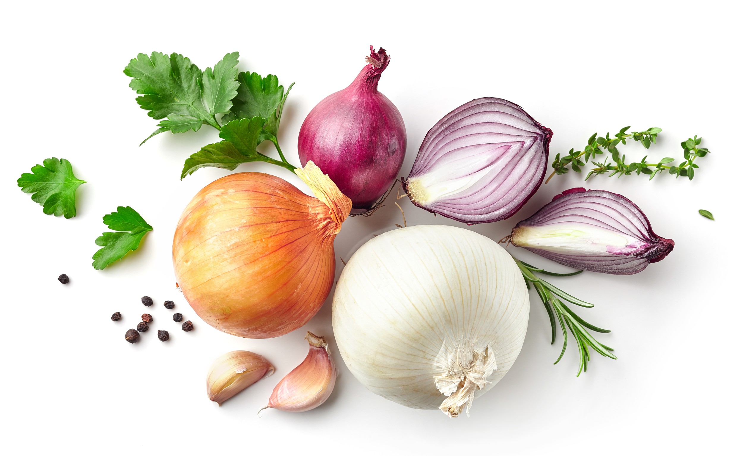 Dicas de Cultivo para Mudas de Cebola Saudáveis
