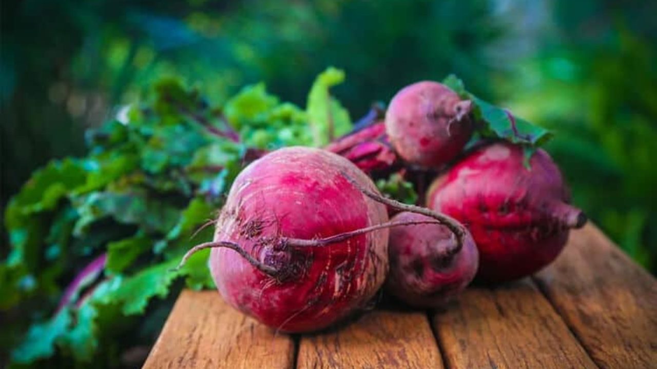 Cultivando Beterrabas: O Guia Completo para Fazer Mudas de Sucesso!