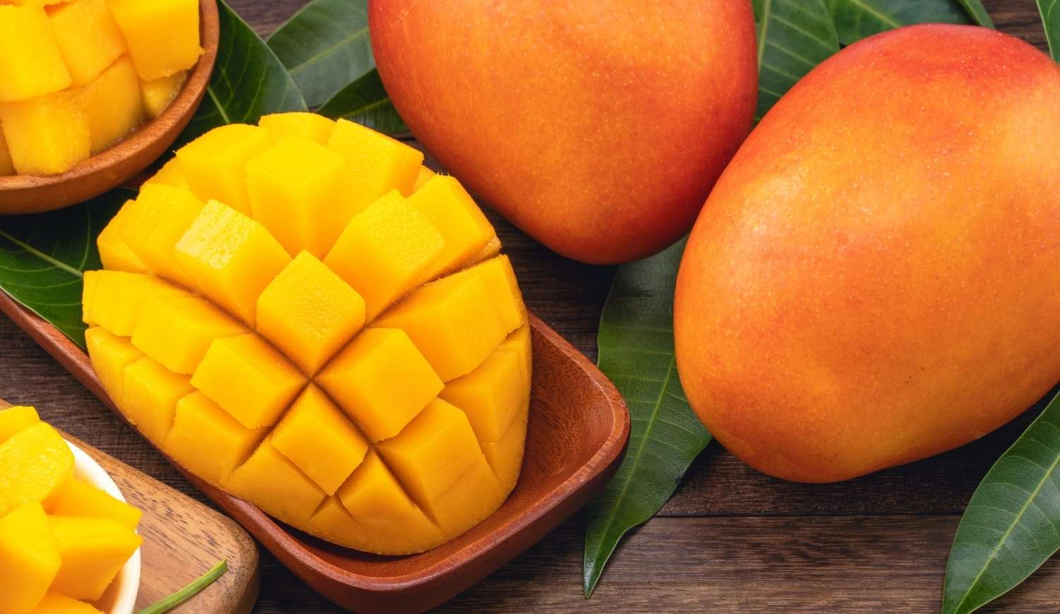 🥭🌿 Segredos para o Cultivo Sucesso de Mangueiras: Do Plantio à Colheita de Mangas Suculentas 🌿🥭