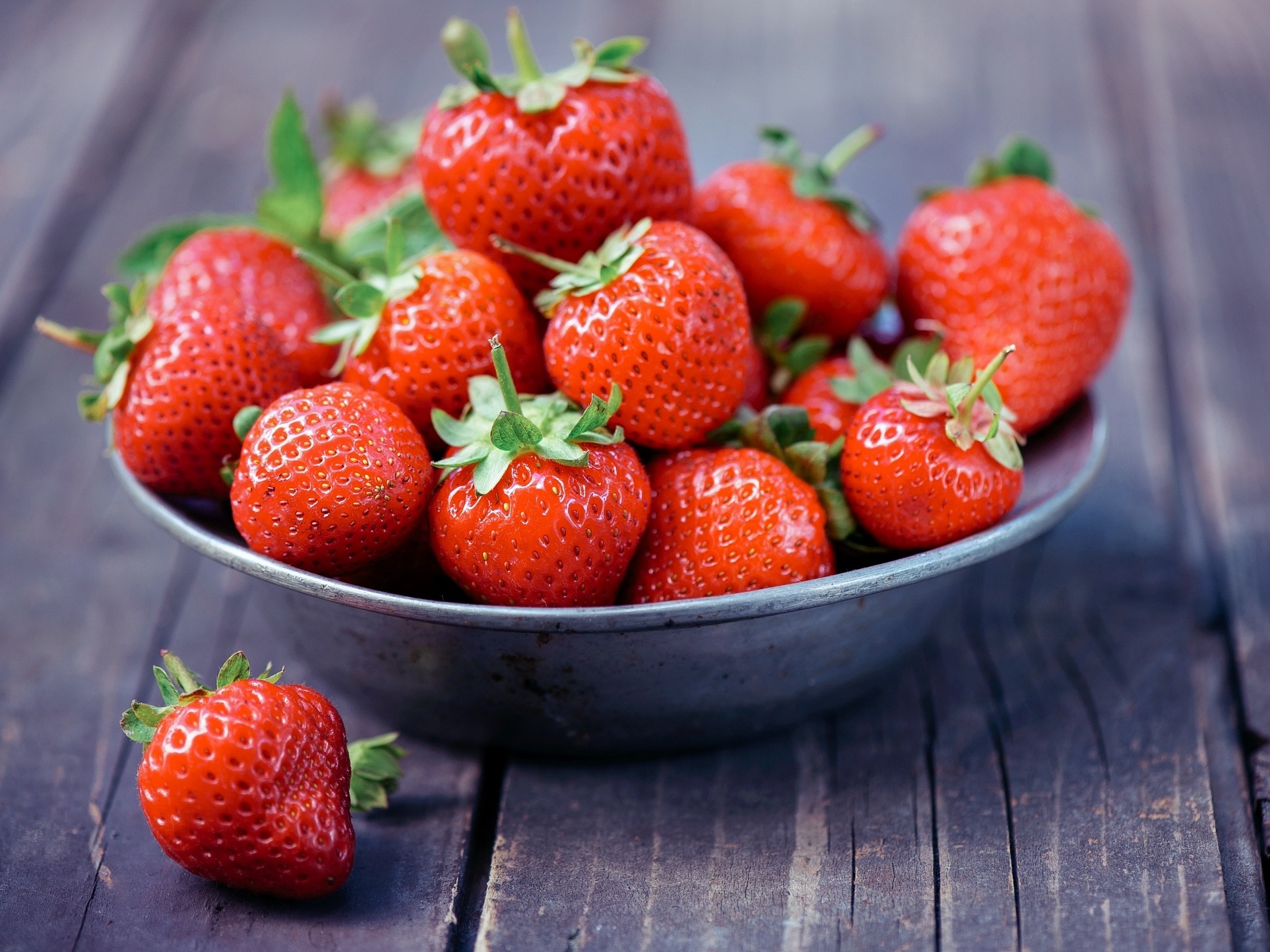 Cultivo Delicioso: Como Cultivar Morangos em Casa para Colher a Doçura da Natureza 🍓🌱